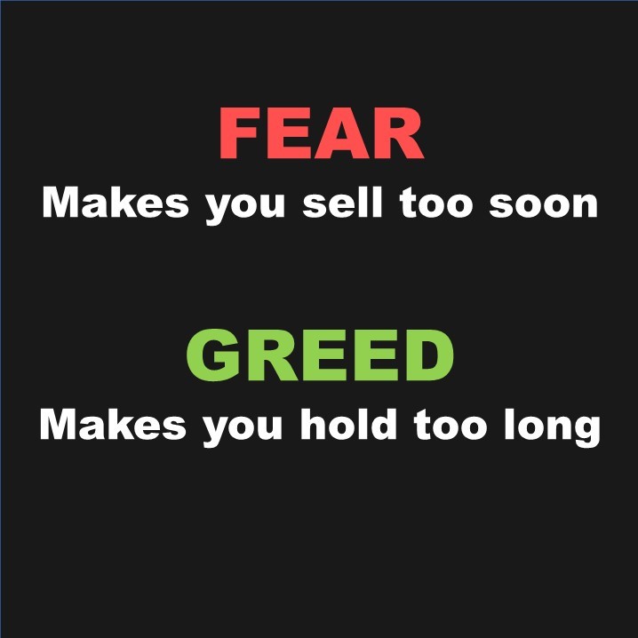 A roller coaster of&nbsp;emotions